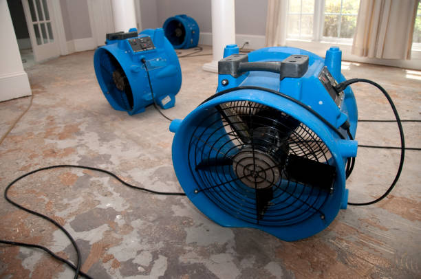 Best Ceiling water damage repair  in Macon, MS