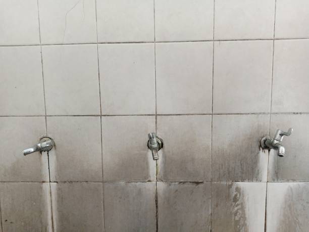 Best Water damage restoration near me  in Macon, MS